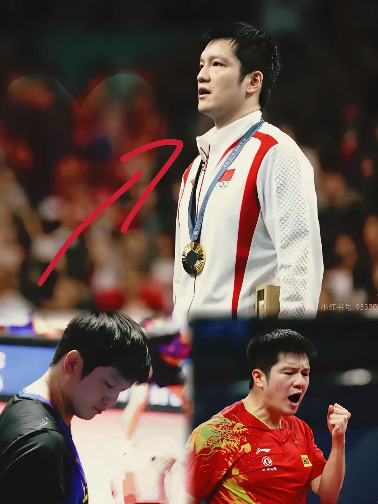 中国队完胜瑞典队，樊振东惊艳四座