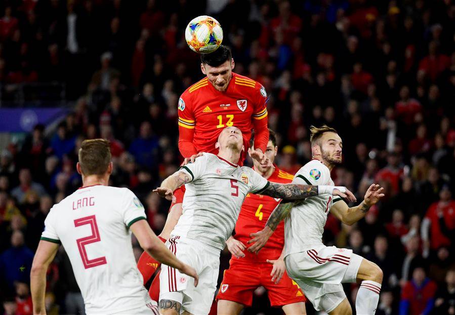 开云体育官网-波兰队完胜瑞典队，波尔带队取胜